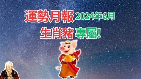 2024豬運勢|【2024屬豬運程】2024屬豬運程：反覆向上、轉危為機！【開運。